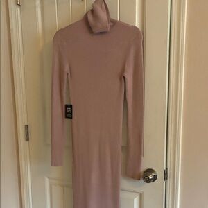 Express Dusty Pink Long Sleeve Turtleneck Dress